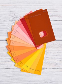 Auch die Farbegstaltung trägt zum Wohlfühlen bei.